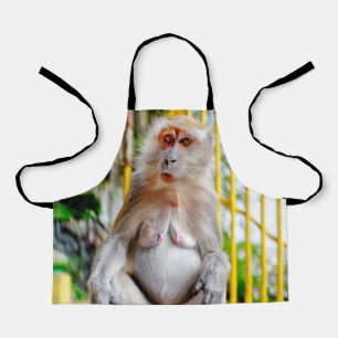 Crab-eating macaque apron