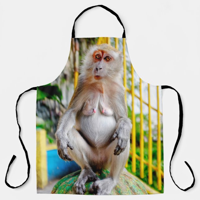 Crab-eating macaque apron (Front)