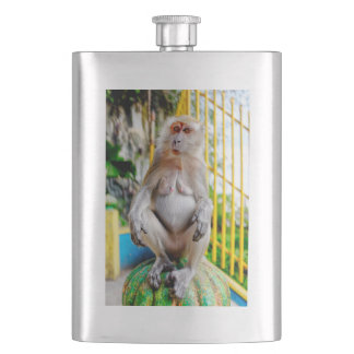 Crab-eating macaque hip flask