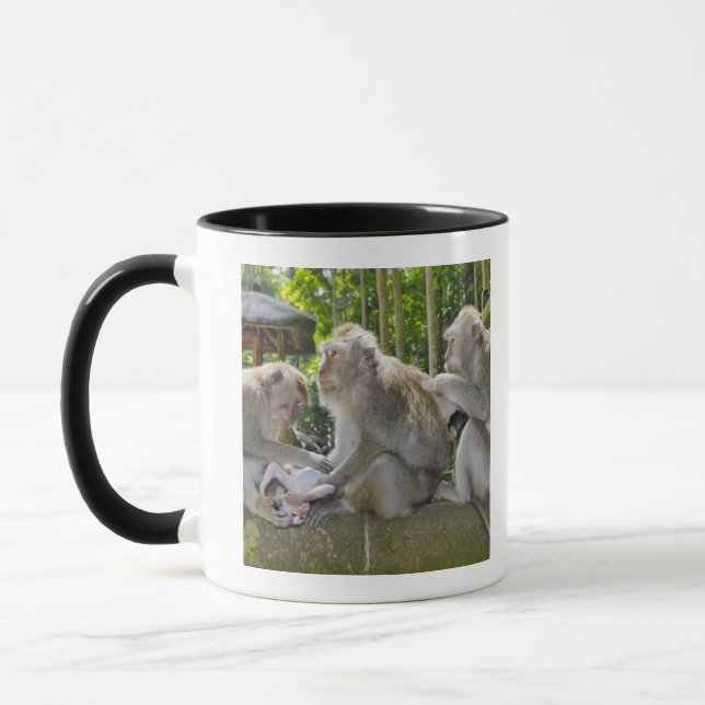 Crab-eating Macaque, Macaca fasciularis, in Ubud Mug (Left)