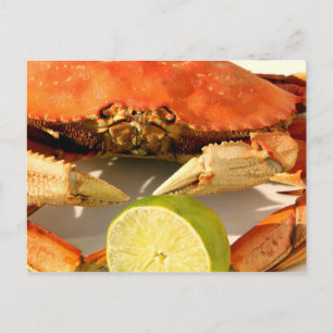 Crab Feast Invitation Postcard