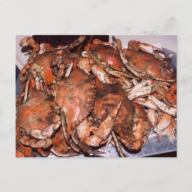Crab Feast Postcard (Front)