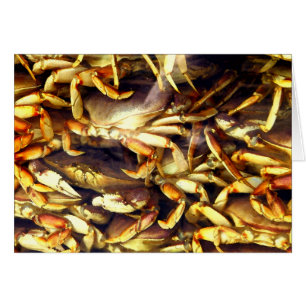 Crab Lover_