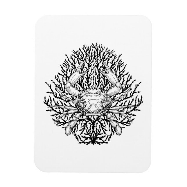 Crab Magnet (Vertical)