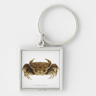 Crab on white background key ring
