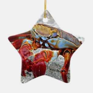 Crab photo ceramic ornament