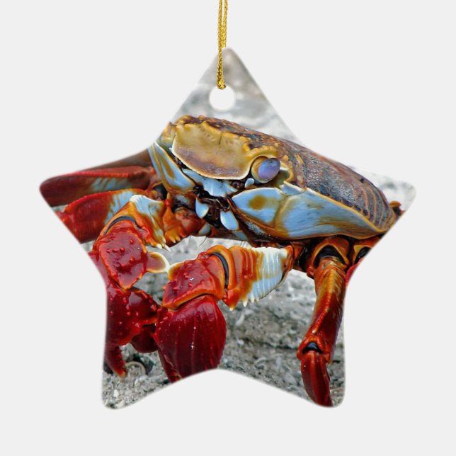 Crab photo ceramic ornament (Front)