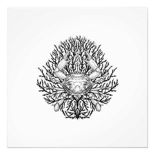 Crab Photo Print (Front)