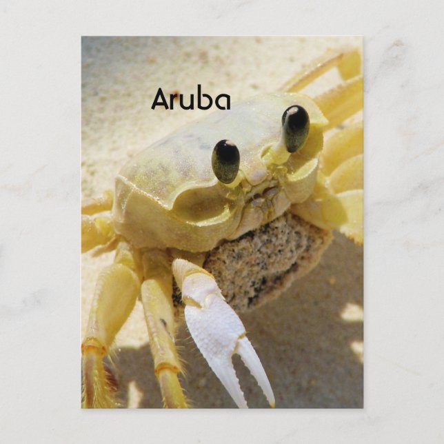Crab Postcard (Front)