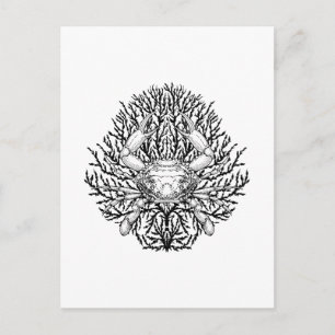 Crab Postcard