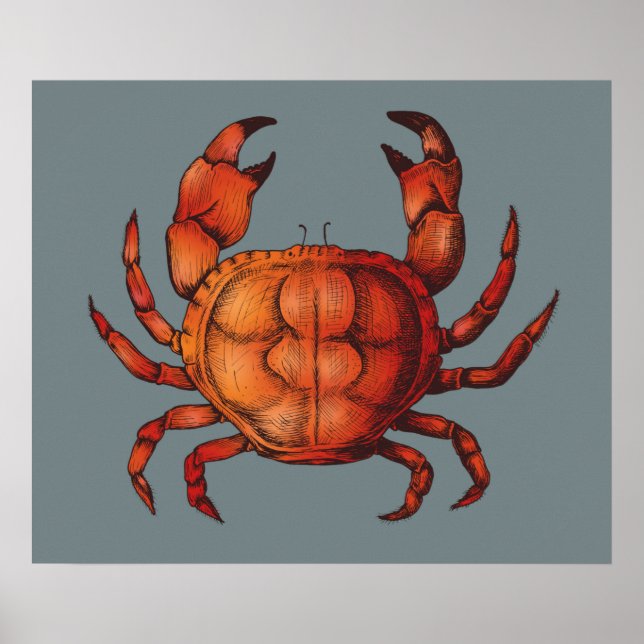 Crab Poster (Front)