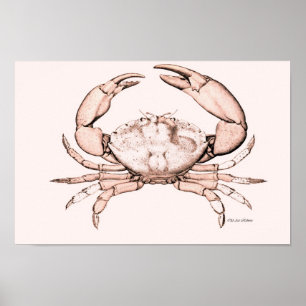 Crab Poster ~ Stone Crab