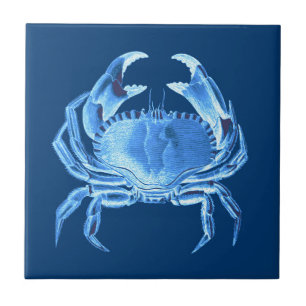 Crab Sea Life Print, Indigo Blue and White Ceramic Tile
