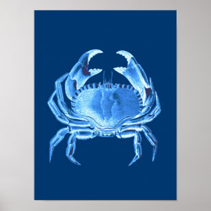 Crab Sea Life Print, Indigo Blue and White Poster