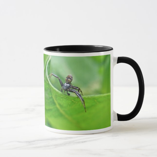 Crab Spider on Milkweed Coordinating Items Mug (Right)