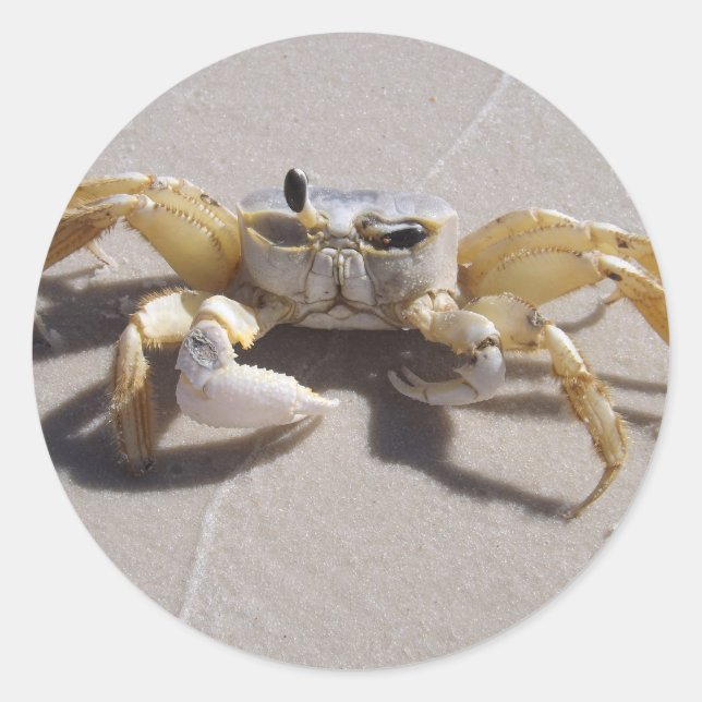 Crab sticker (Front)