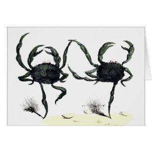 Crab tango dance cute vintage summer beach crabs