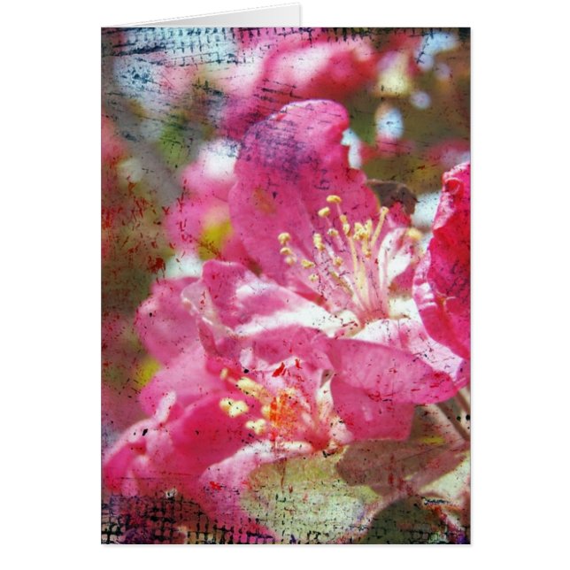 Crabapple Blossoms (Front)