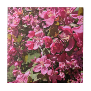 Crabapple Blossoms Ceramic Tile