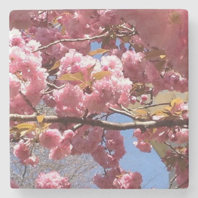 Crabapple Blossoms in Spring - Pink & White Branch Stone Coaster (Front)