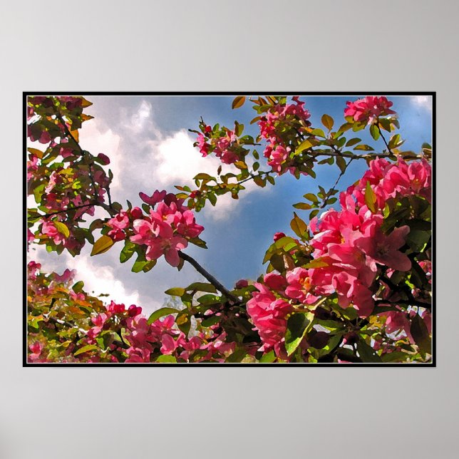 Crabapple Blossoms Poster (Front)