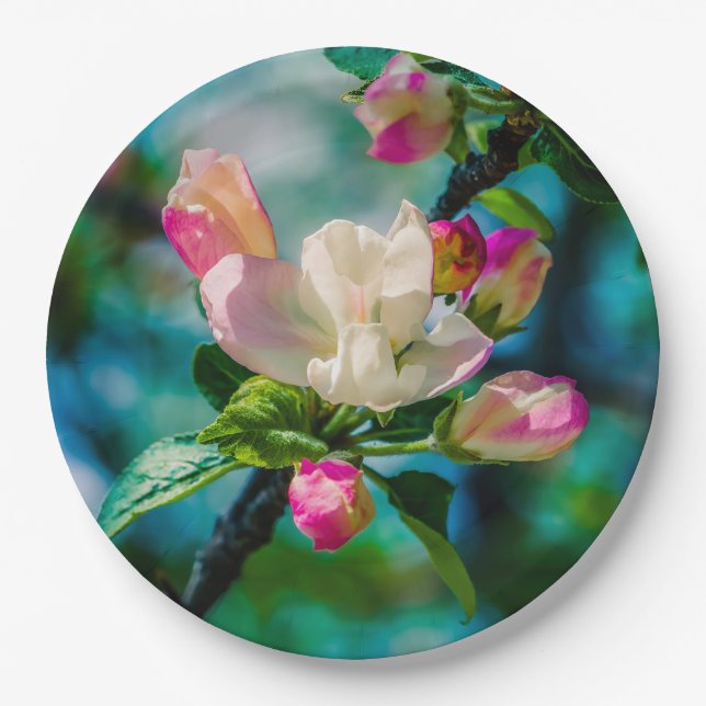 Crabapple flower and buds paper plate (Front)