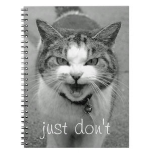 Crabby Cat Notebook