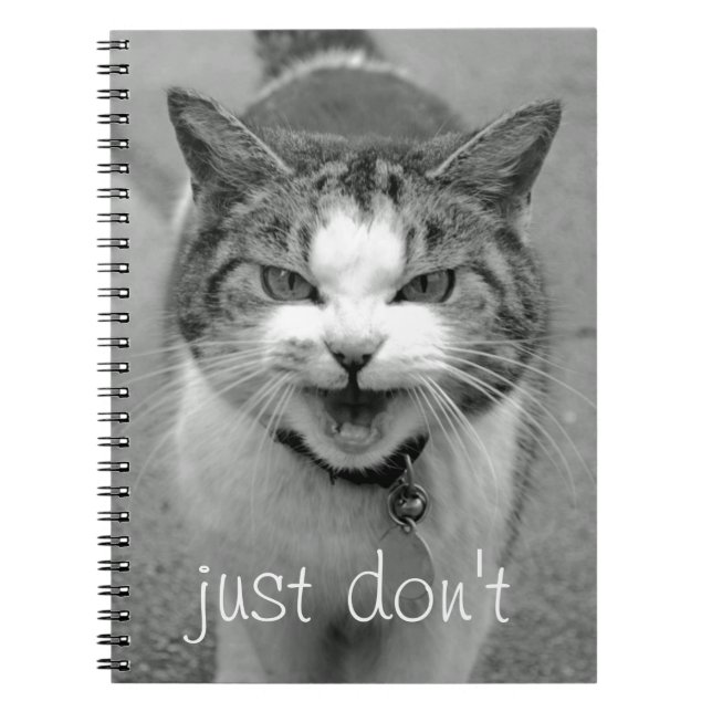 Crabby Cat Notebook (Front)