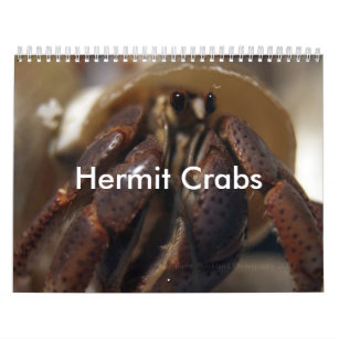 crabby, Hermit Crabs Calendar