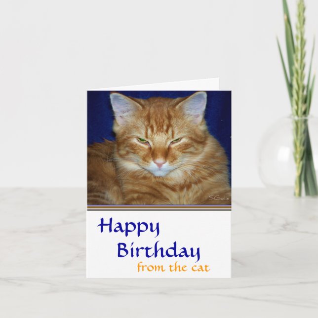 Crabby  Tabby Cat  Birthday Card - Funny (Front)