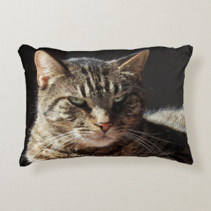 Crabby Tabby Cat Decorative Cushion