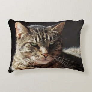 Crabby Tabby Cat Decorative Cushion