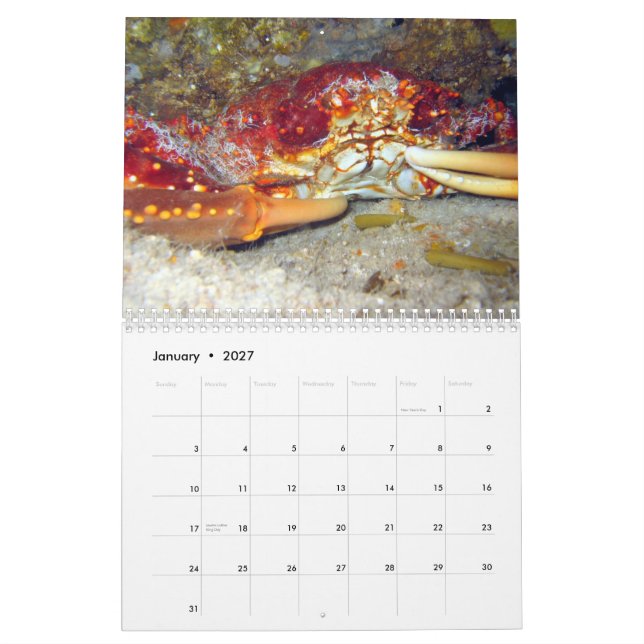 Crabs (2010 calendar) calendar (Jan 2027)
