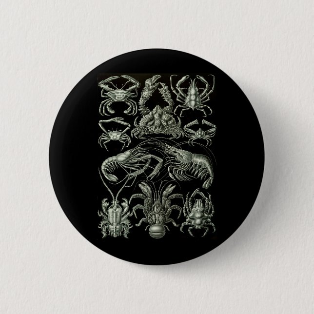 Crabs & Lobsters 6 Cm Round Badge (Front)