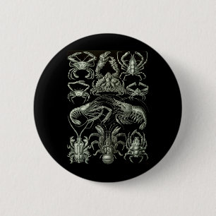 Crabs & Lobsters 6 Cm Round Badge