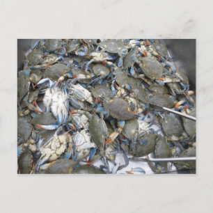 Crabs Postcard