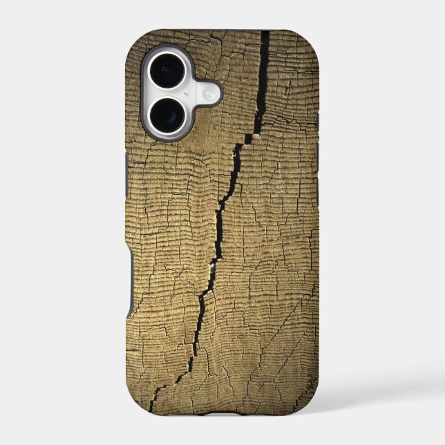 Crack iPhone5 Case (Back)