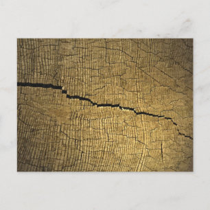 Crack Postcard
