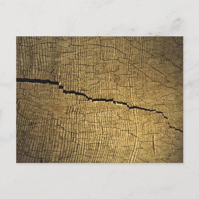 Crack Postcard (Front)