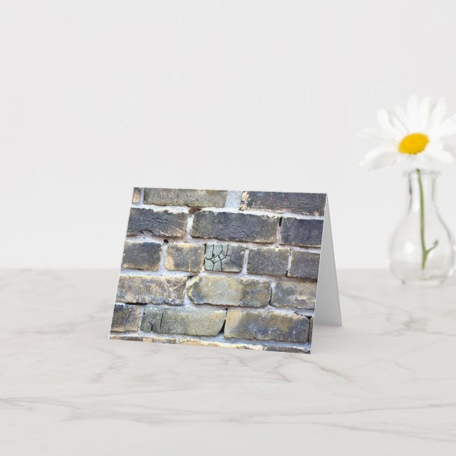 Cracked Crumbling Soft Grunge Brick Wall Card (Small Plant)