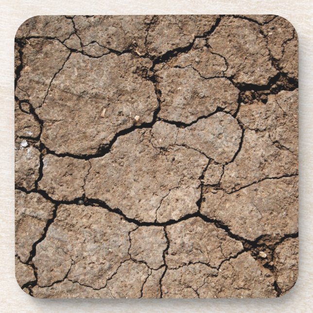 Cracked Dried Mud Coaster (Front)