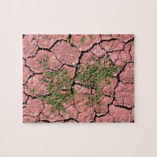 Cracked Earth Cool Texture Jigsaw Puzzle