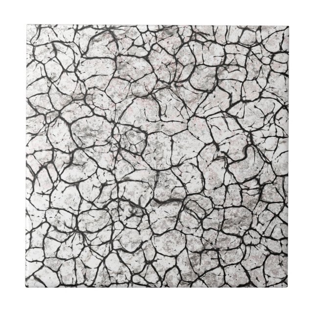 Cracked Marble Digital Pattern Ceramic Tile (Front)
