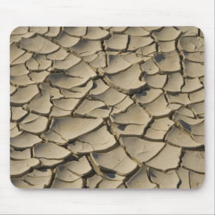 Cracked Mud formation in the Valley floor of Mouse Pad