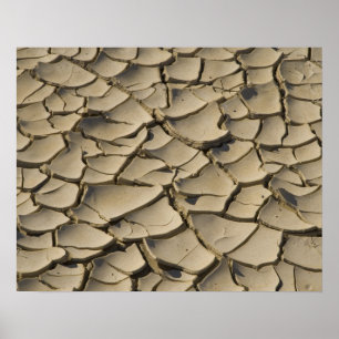 Cracked Mud formation in the Valley floor of Poster