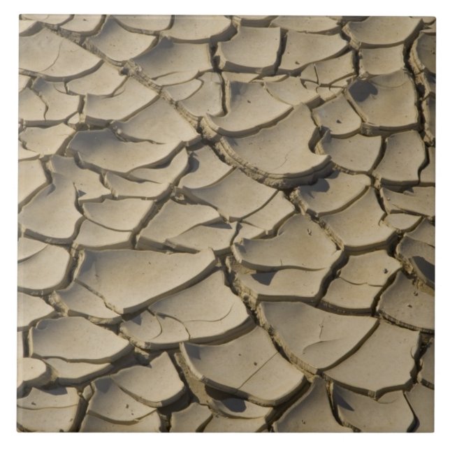 Cracked Mud formation in the Valley floor of Tile (Front)