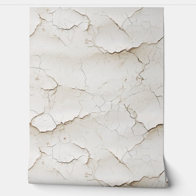 Cracked Painted Textured Wall  (Unrolling)