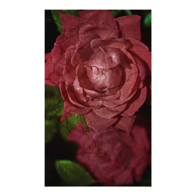 Cracked Red Rose by Shirley Taylor Photo Print (Front)