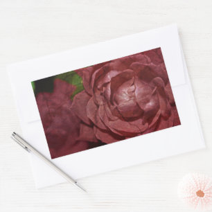 Cracked Red Rose by Shirley Taylor Rectangular Sticker