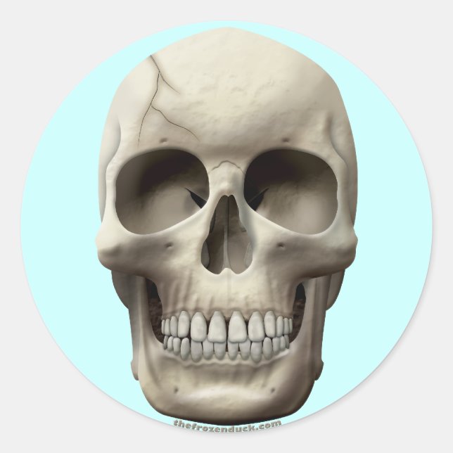 Cracked Skull Classic Round Sticker (Front)